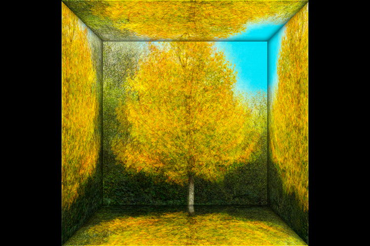 Tree In A Box