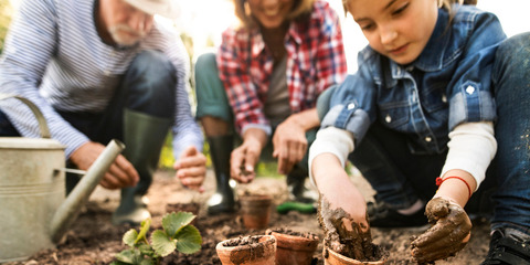 Community Growing from Strength to Strength!